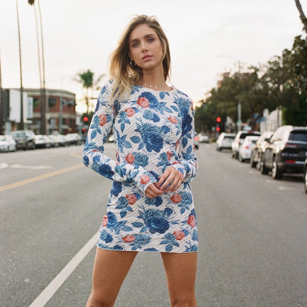 Frances Dress / Rose In The Dark